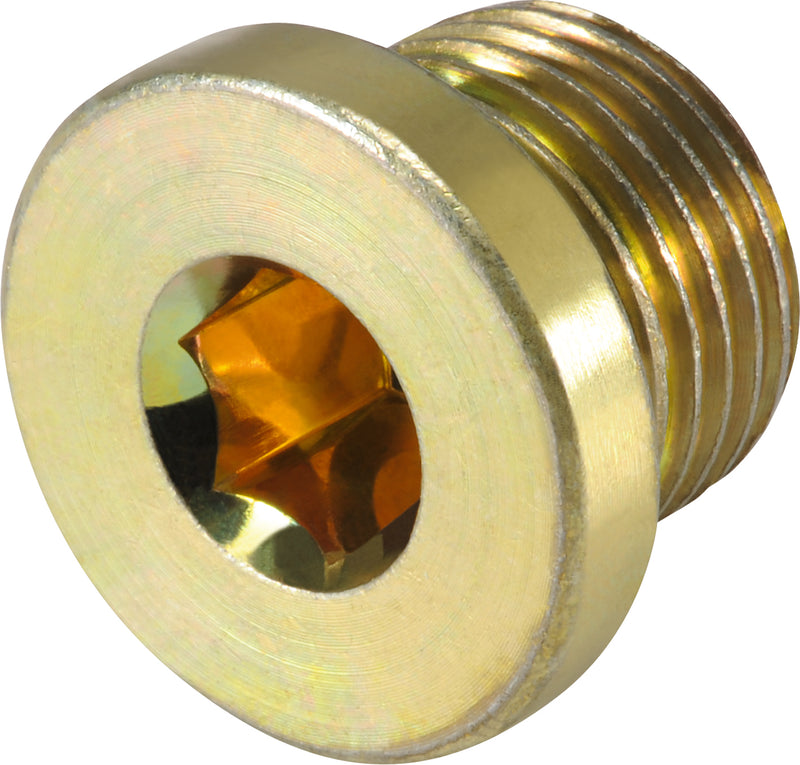 19132, VOLKEL, Screws OS (10 pcs.), Typ B, M 17 x 1,5